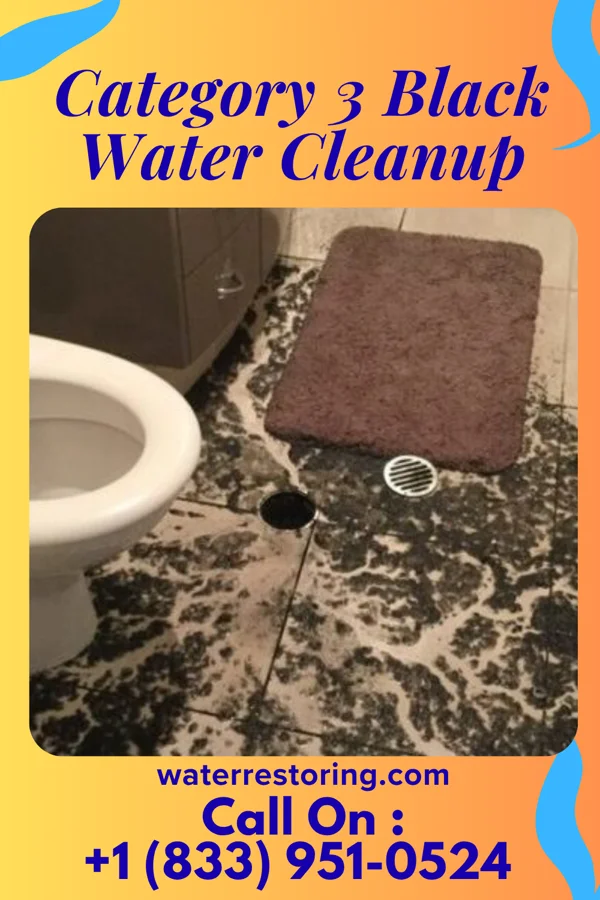 Category 3 Black Water Cleanup in Fairfield Glade, TN